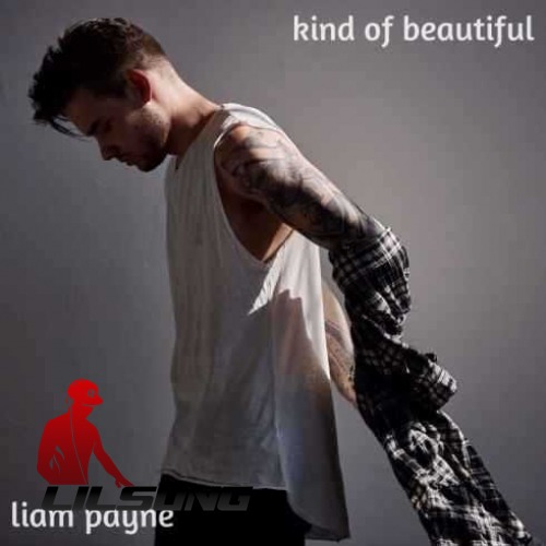 Liam Payne - Kind of Beautiful